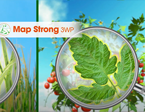 MAPSTRONG