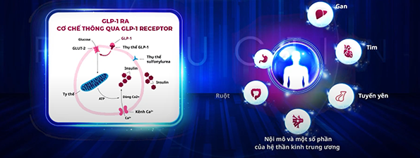 NOVO NORDISK - VICTOZA