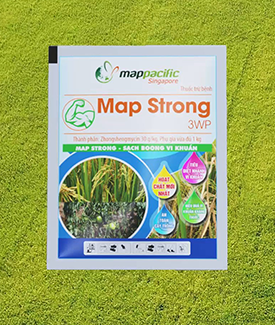 MAPSTRONG